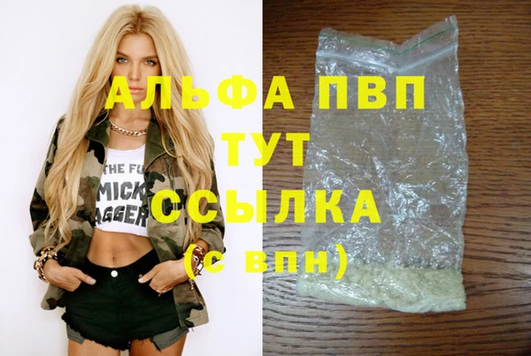 ECSTASY Ладушкин