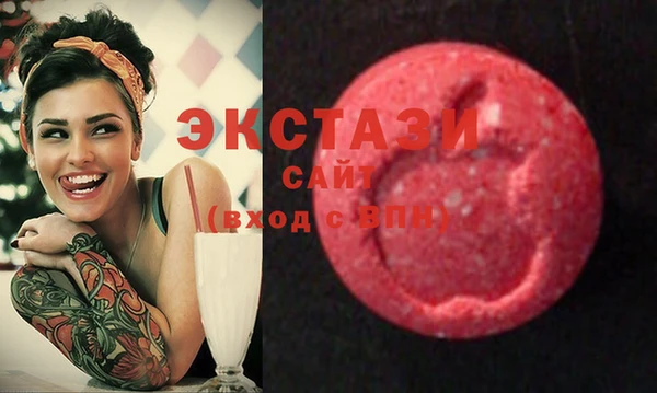 ECSTASY Ладушкин