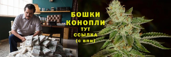 ECSTASY Ладушкин
