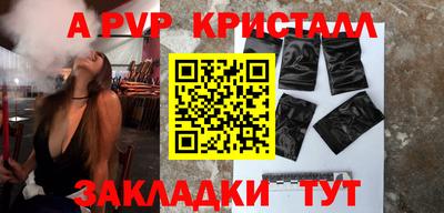 стаф Кунгур
