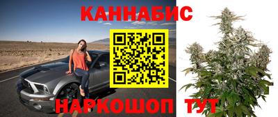стаф Кунгур