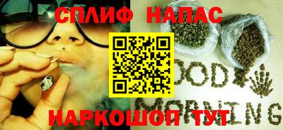 стаф Кунгур