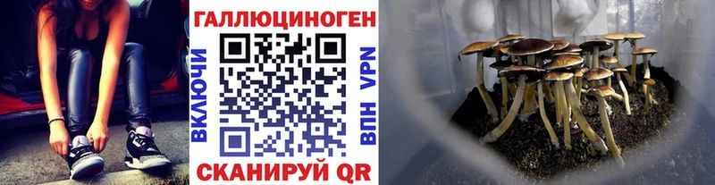 Псилоцибиновые грибы MAGIC MUSHROOMS  Купить  Курчалой 