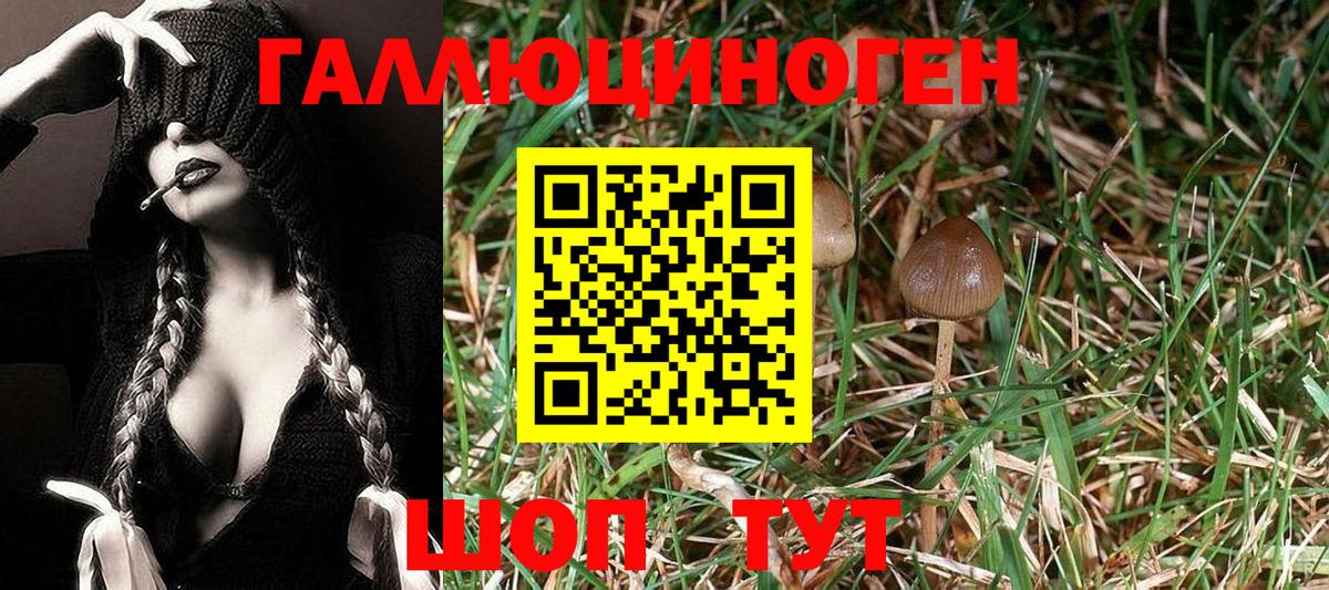 Псилоцибиновые грибы мухоморы  купить  сайты  Курчалой 