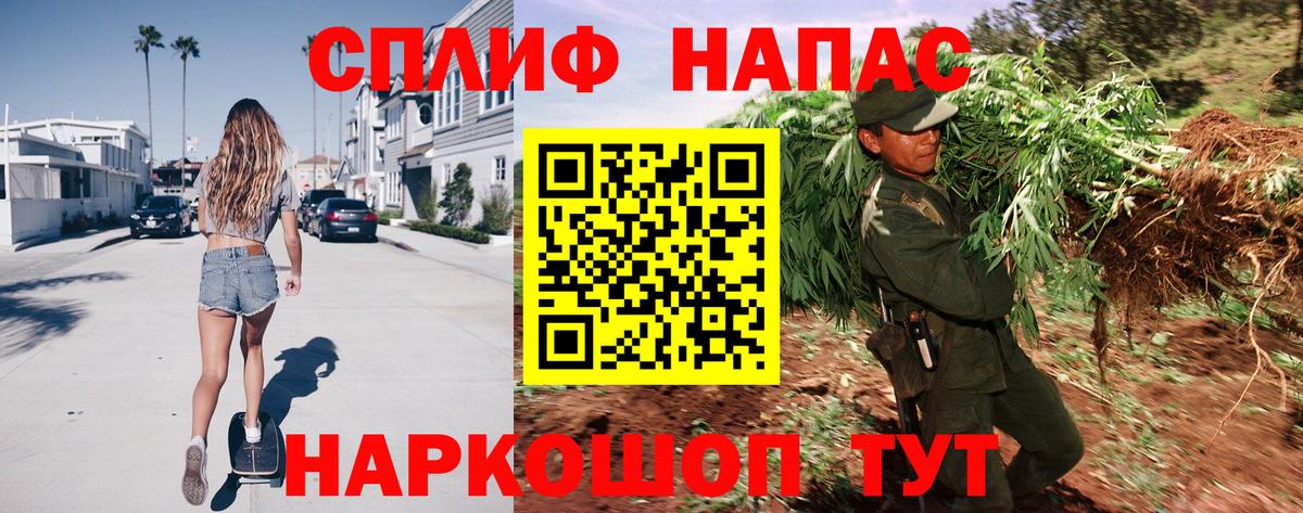 Бошки марихуана семена  Каннабис индика  Курчалой 