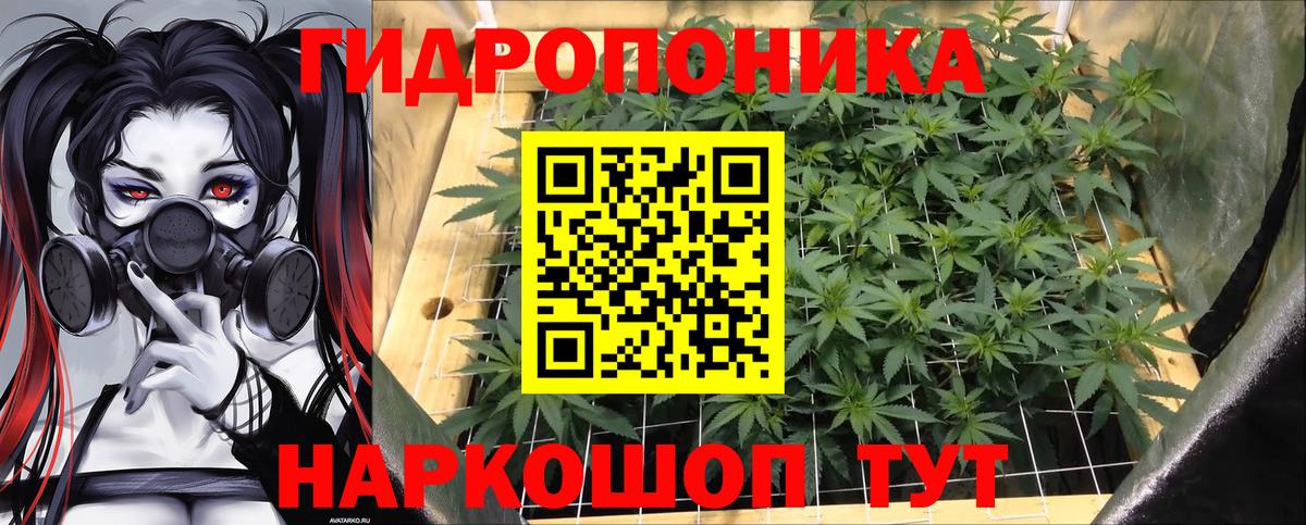 Курчалой  Марихуана Amnesia  Марихуана AK-47  Вход с VPN 
